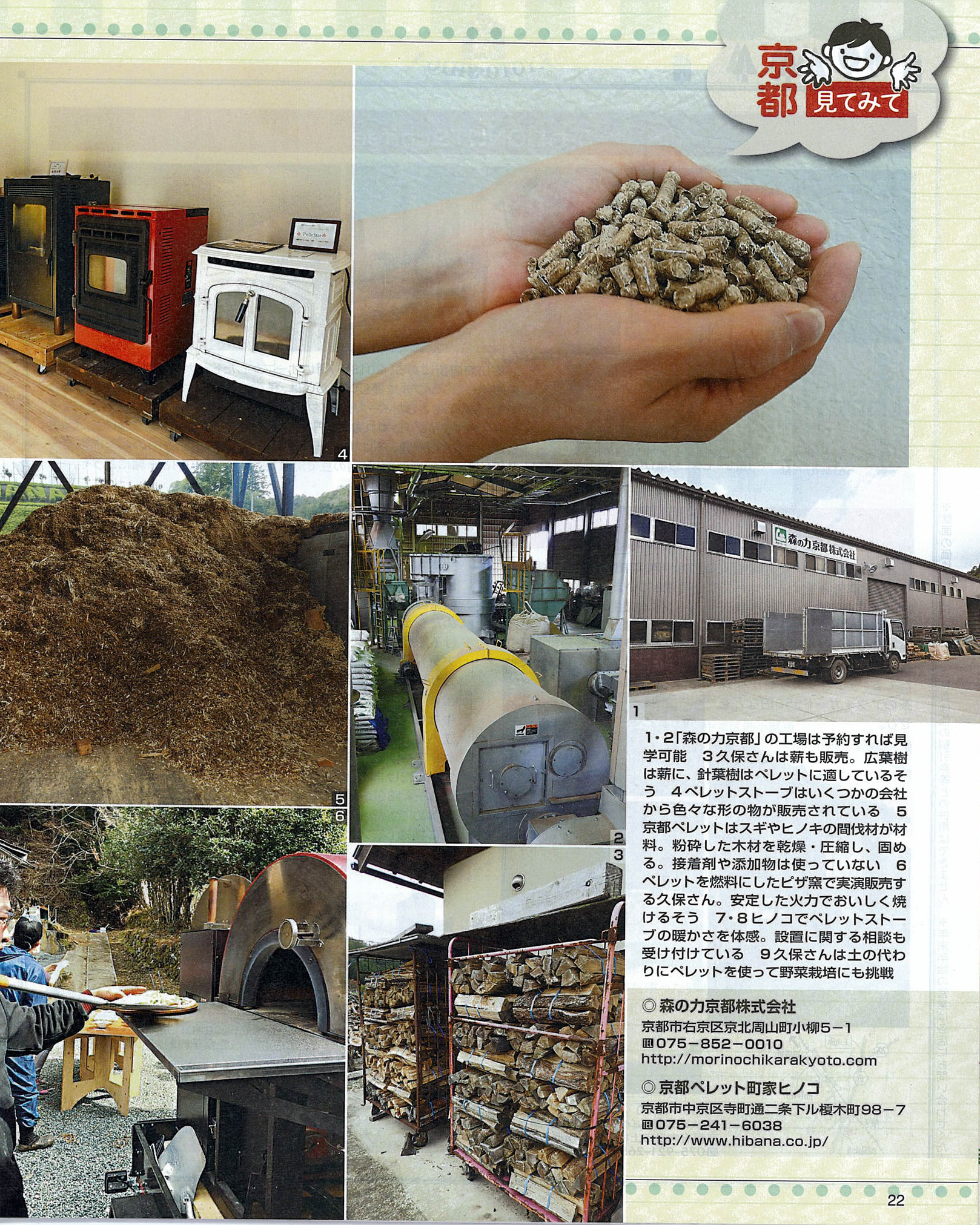 読売Life2019年1月号（株式会社読売ライフ 発行）